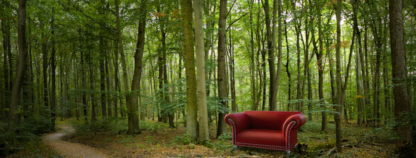 Wie du selbst vom Sofa aus von der Natur profitieren kannst